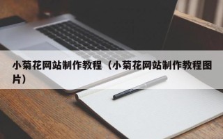 邵阳县小菊花网站制作教程（小菊花网站制作教程图片）