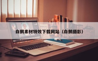 邵阳县白鹅素材特效下载网站（白鹅摄影）